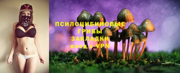 спайс Алексин