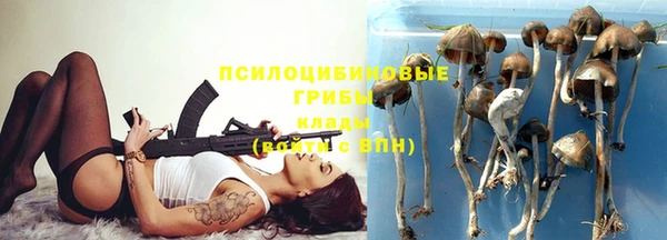 прущий лед Алзамай