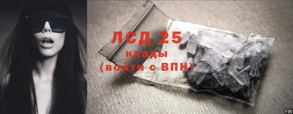 прущий лед Алзамай
