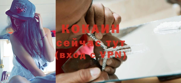прущий лед Алзамай