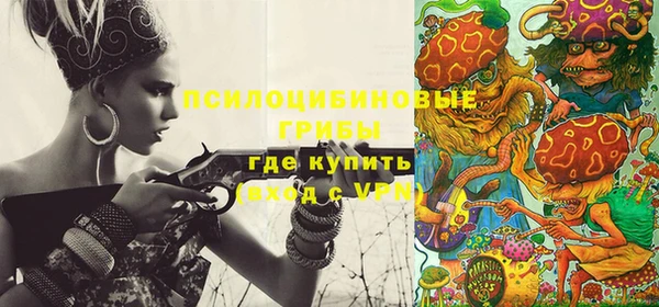 прущий лед Алзамай