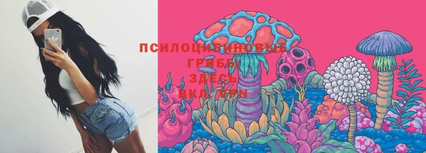 стаф Нягань