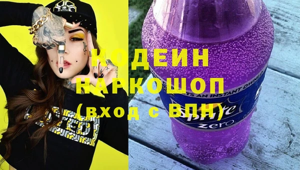 прущий лед Алзамай